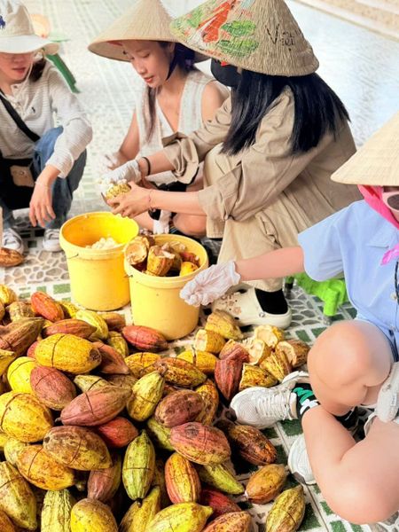 socola-huong-vi-ket-noi-cau-chuyen-ngay-tet