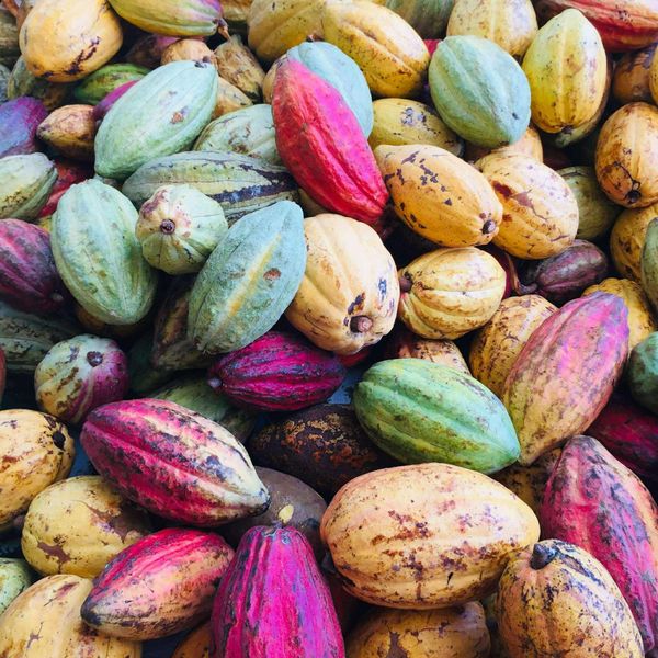 socola-den-hanh-nhan