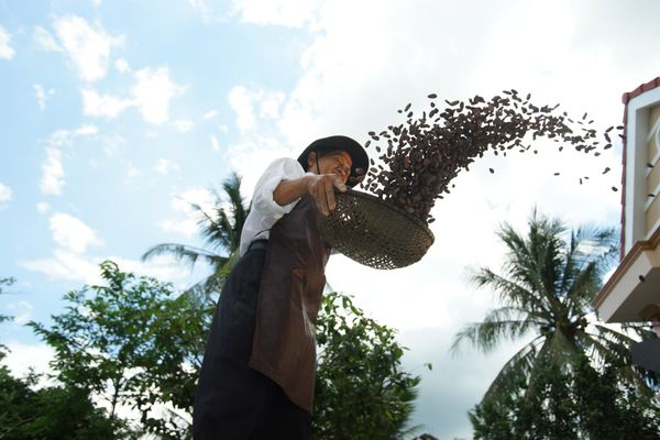 hanh-trinh-ca-cao-viet-chinh-phuc-khach-quoc-te