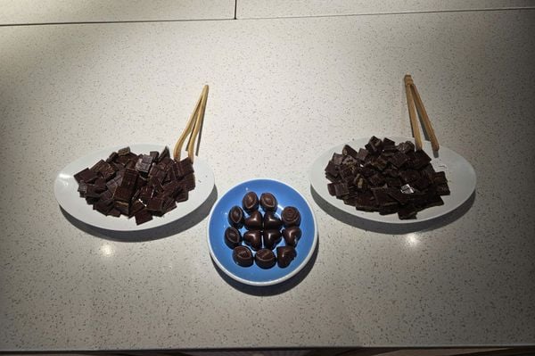 khai-truong-alluvia-my-tho