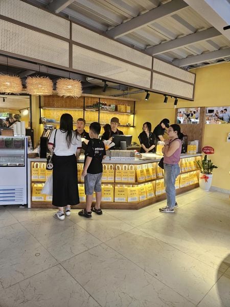 khai-truong-alluvia-my-tho