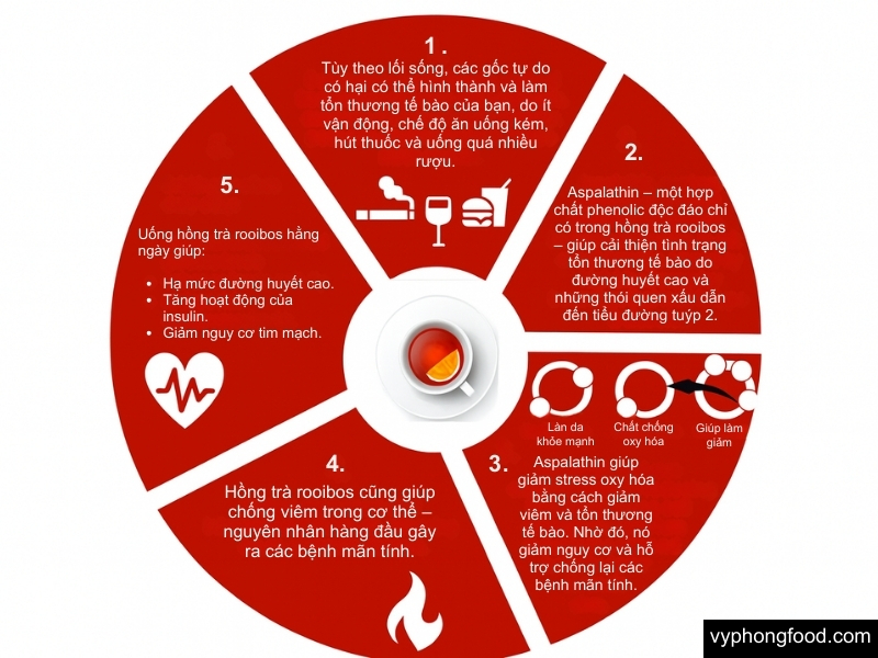 south african rooibos tea natural secret for beauty and wellness african dawn official import by vyphongfood.com herbal tea for sleep for weightloss