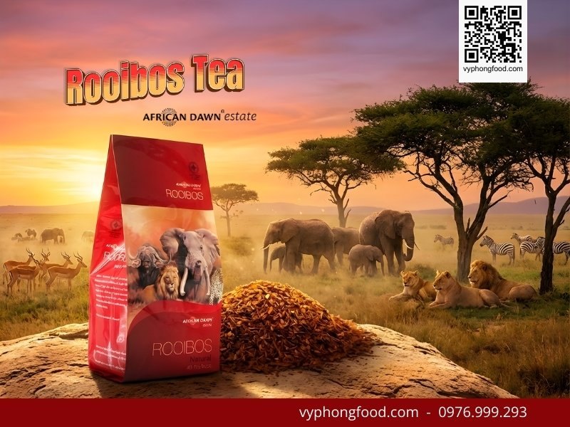 Hướng dẫn cách pha hồng trà Rooibos Nam Phi dạng túi lọc trên nền vùng núi Cederberg, minh họa cách pha chế chuẩn để tối ưu hóa công dụng của trà thảo mộc giúp giảm cân và ngủ ngon.