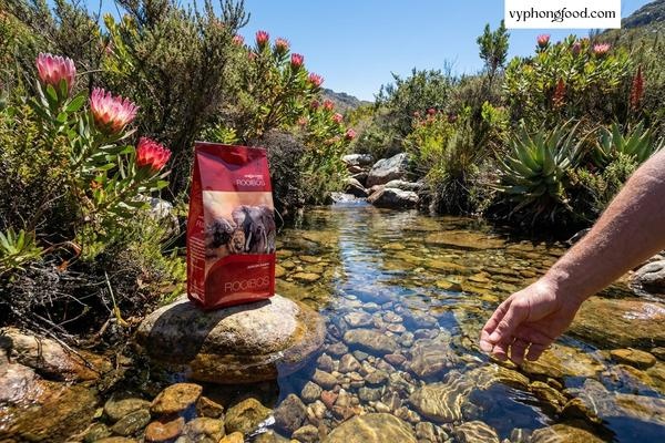 Hồng trà Rooibos Nam Phi thương hiệu African Dawn dạng túi lọc trên nền trang trại Groenkol và vùng núi Cederberg hùng vĩ.