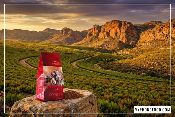 Hình ảnh hồng trà Rooibos Nam Phi African Dawn dạng túi lọc giàu hoạt chất Aspalathin giúp hỗ trợ tim mạch và chống oxy hóa hiệu quả.