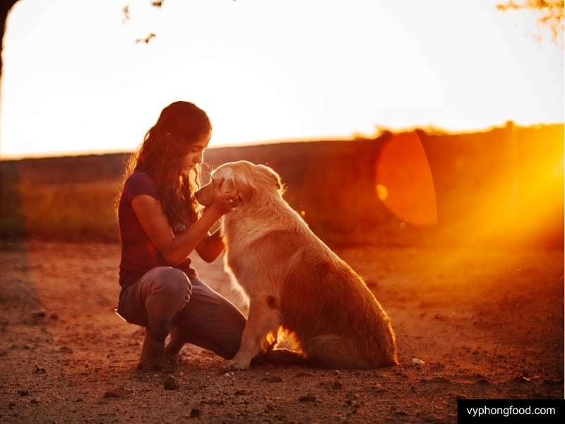 spoil your pet on international love your pet day 20 february with a royal rooibos tea pamper vyphongfood.com south african rooibos tea African Dawn herbal tea for sleep for weightloss official import