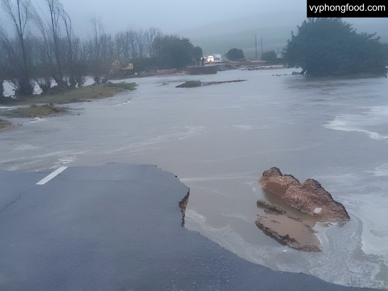 Aerial view of Cederberg rooibos fields after recent storms—green rows under clearing skies—showing South African rooibos supply remains stable and quality intact; ideal for African Dawn rooibos tea bags.