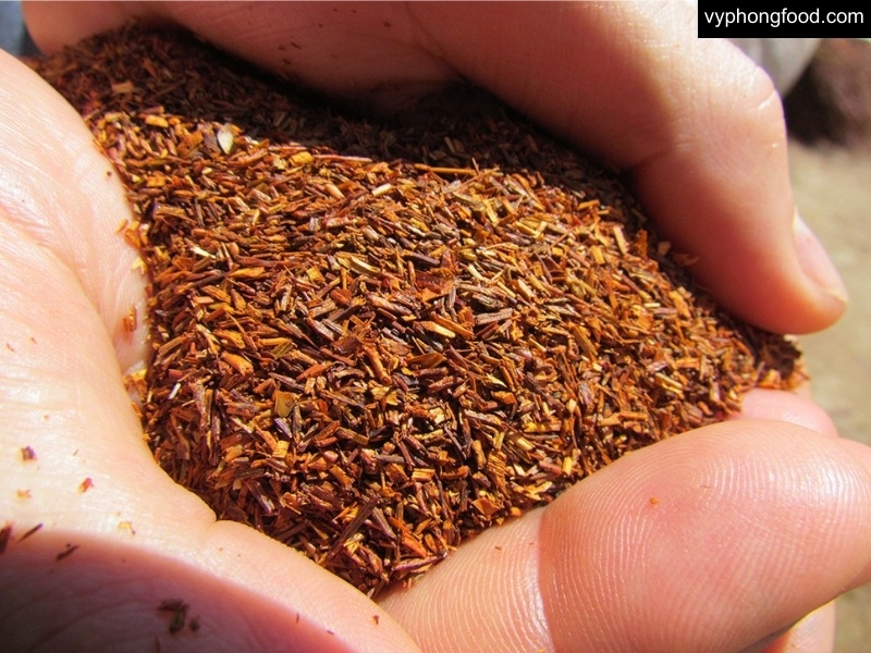 Experience the South African Rooibos harvest season in Cederberg, the only region where rooibos tea grows naturally, known for its herbal tea benefits and caffeine-free health properties.