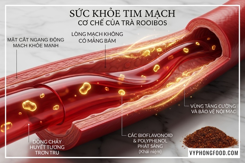 Ly trà rooibos nam phi túi lọc African Dawn thơm ấm giúp giảm cholesterol xấu và bảo vệ hệ tim mạch bền vững theo nghiên cứu lâm sàng của Đại học CPUT được phân phối chính hãng bởi Vy Phong Food.