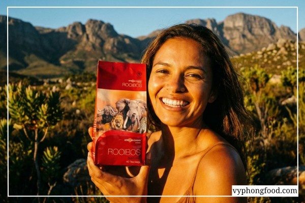 Hướng dẫn cách pha hồng trà rooibos Nam Phi chuẩn vị nóng ấm và trà rooibos lạnh Cold Brew thanh mát từ túi lọc African Dawn.