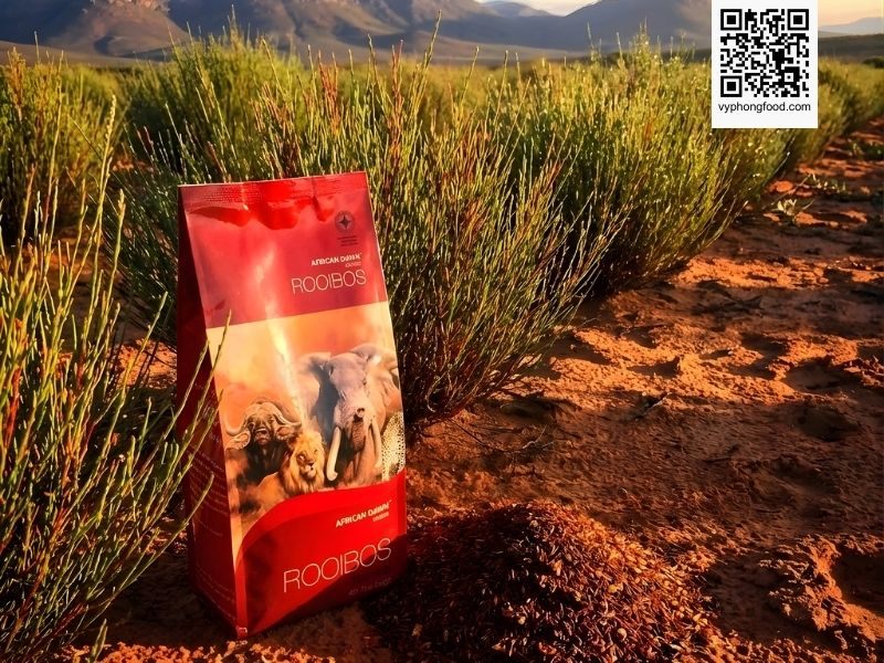 Hộp trà thảo mộc túi lọc Rooibos African Dawn tại vùng Cederberg Nam Phi - Minh họa công dụng của trà thảo mộc so với trà xanh.