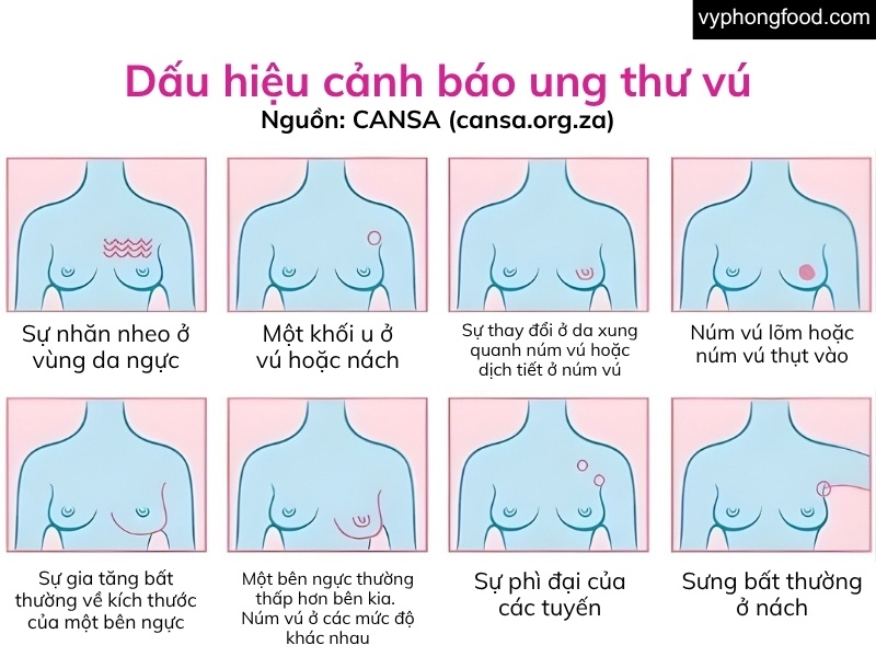 Cup of South African Rooibos Tea with reddish-brown leaves, illustrating preliminary in vitro research related to estrogen-sensitive breast cancer; a caffeine-free, antioxidant-rich herbal tea with honey–caramel tasting notes, plus brewing tips and safe daily use guidance.
