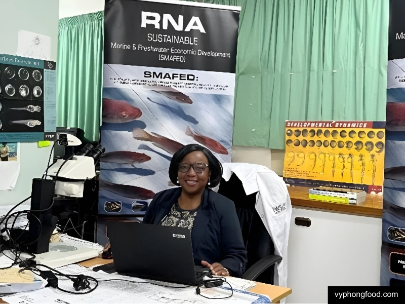 rooibos tea boosts tilapia growth in breakthrough study powering sustainable aquaculture vyphongfood.com south african rooibos tea African Dawn herbal tea for sleep for weightloss official import