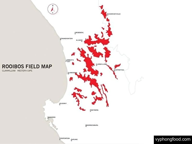 rooibos tea 101 surprising things you might not know about this national treasure african dawn official import herbal tea for sleep for weightloss