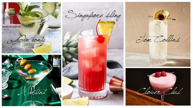 Các loại Cocktail được pha từ rượu Gin