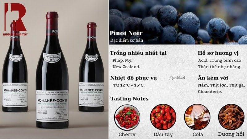 Giống nho Pinot Noir