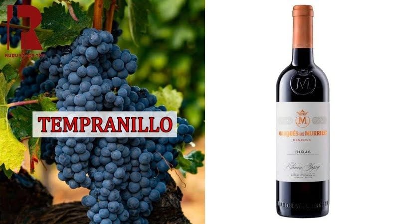 Giống nho Tempranillo
