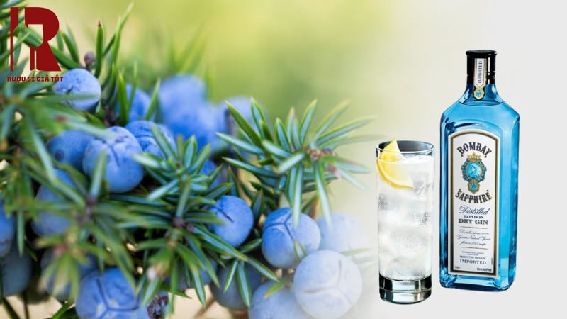 Rượu mạnh Gin trong bar