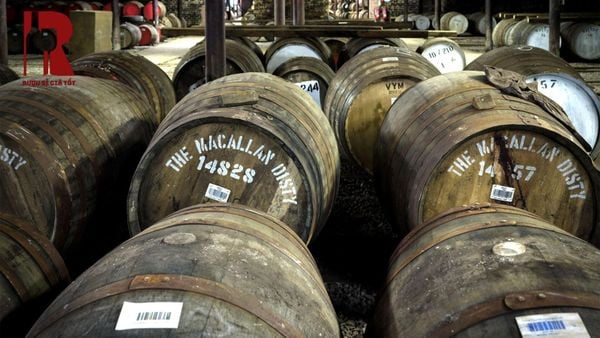 Macallan 12 giá khác nhau do loại thùng gỗ ủ sherry oak bourbon cask