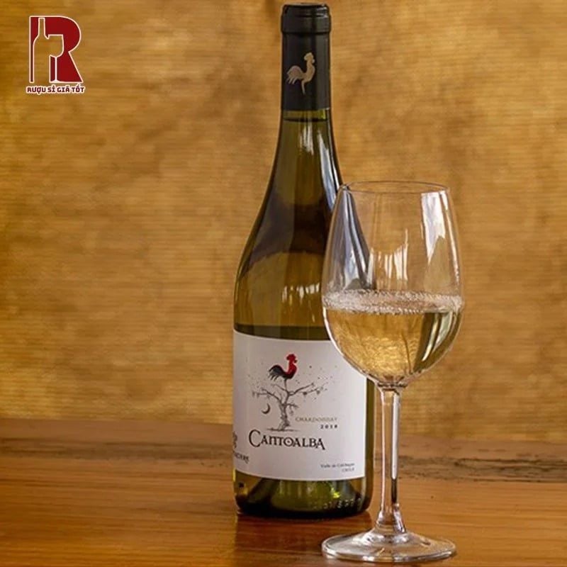 Rượu Vang Chile Trắng Cantoalba Chardonnay