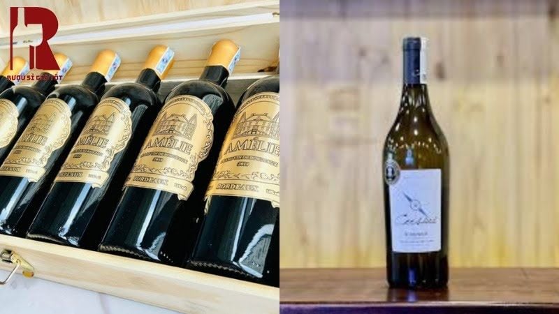 Rượu vang Pháp ngon