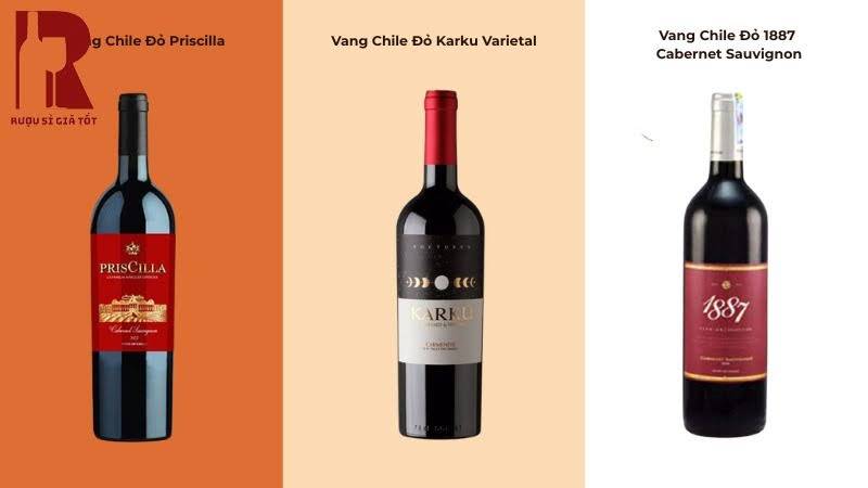 So sánh các chai vang đỏ Chile