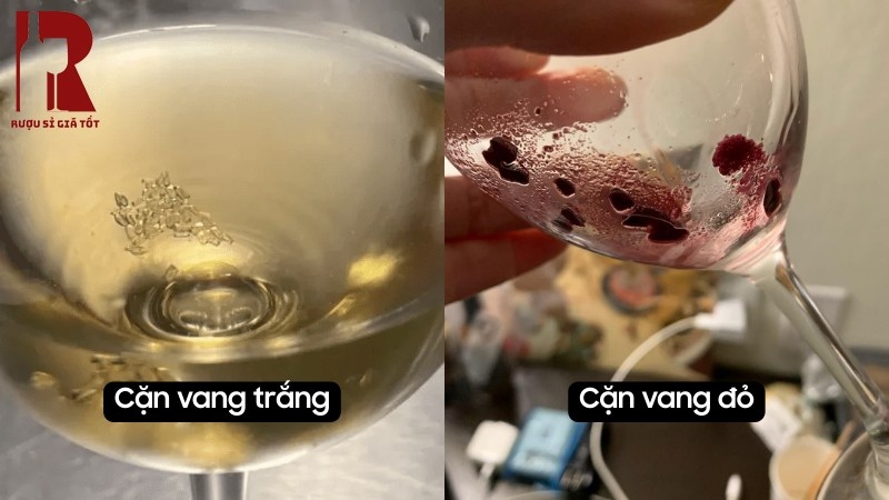 Phân biệt cặn của rượu vang đỏ và rượu vang trắng