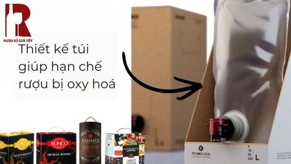 Thiết kế của vang bịch