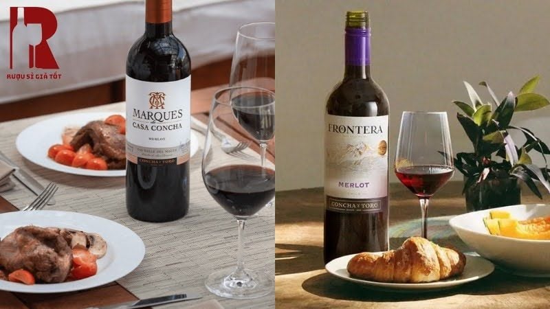 Rượu vang đỏ Chile ăn với món gì
