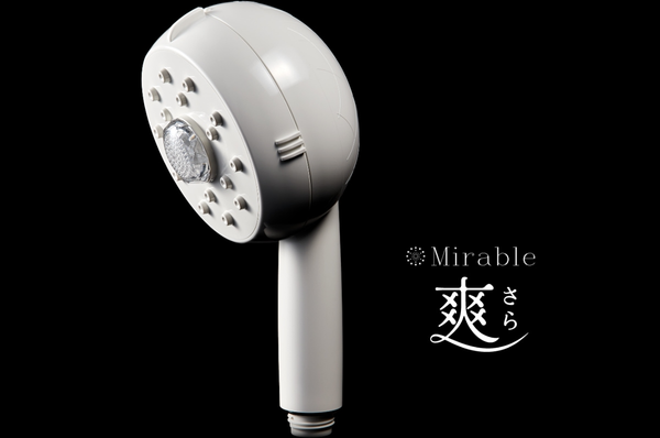 voi-sen-mirable-sara