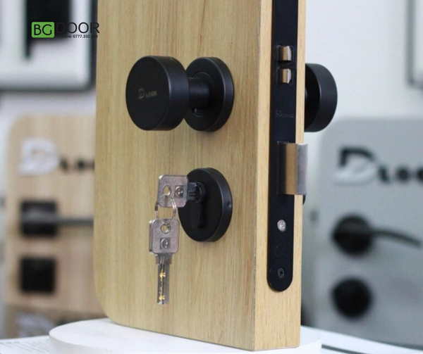 Mẫu khóa tay gạt inox 304