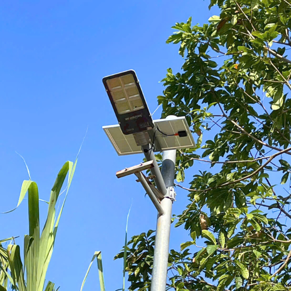 đèn đường NLMT ZS818