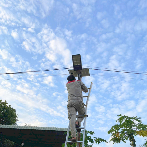 lắp đặt đèn đường NLMT ZS818