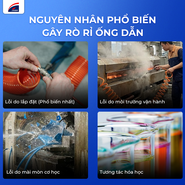 ong-dan