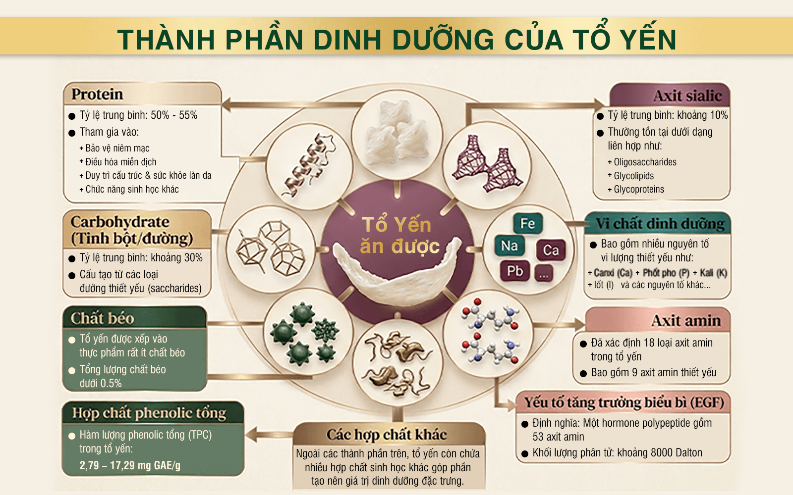 thành phần dinh dưỡng và công dụng yến sào