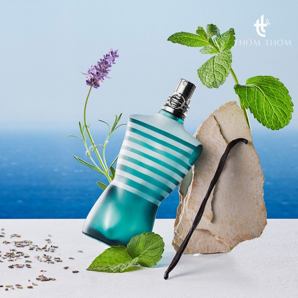 Le Male Eau de Toilette (1995) |&nbsp;Huyền Thoại Dễ Dùng Nhất Dòng