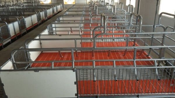 Hình ảnh bài viết