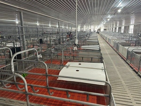 Hình ảnh bài viết