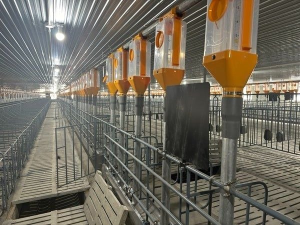 Hình ảnh bài viết