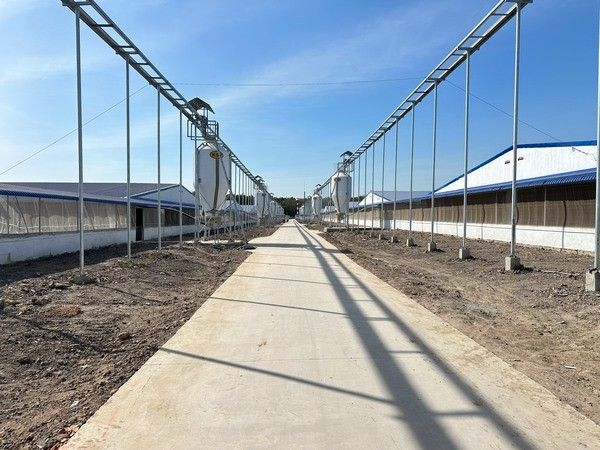 Hình ảnh bài viết