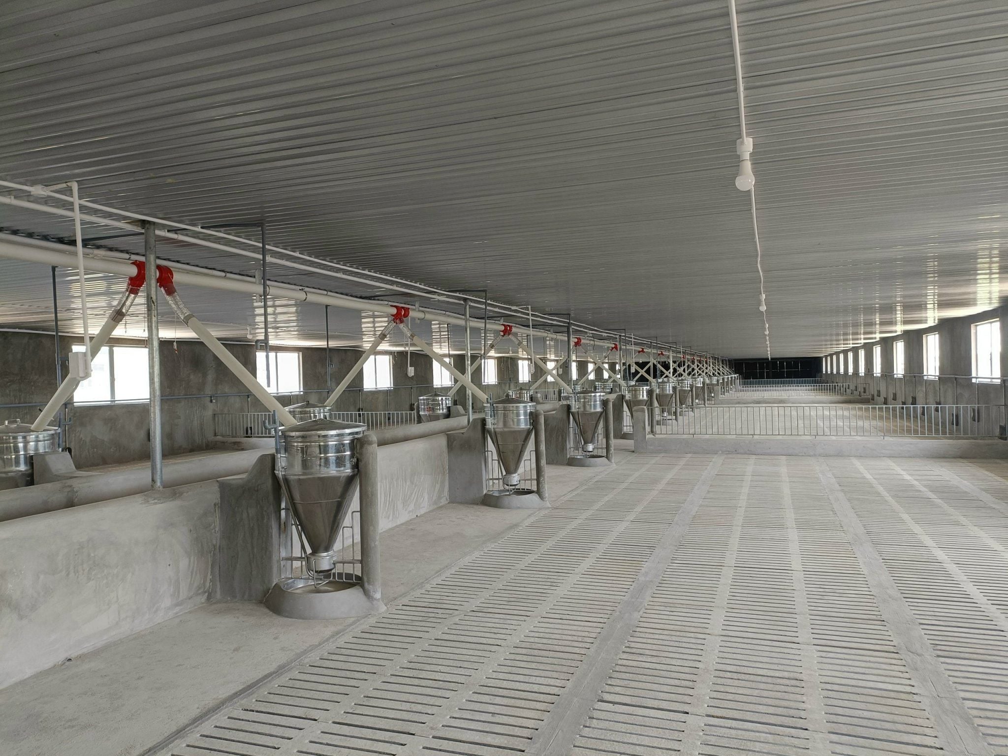 Hình ảnh bài viết