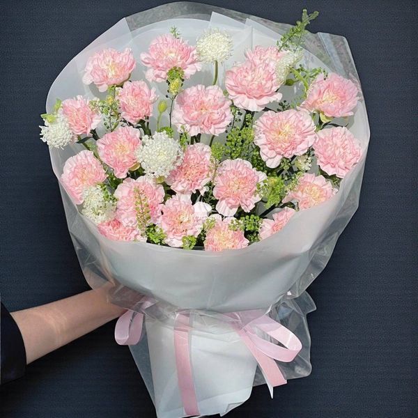 hoa cẩm chướng hồng