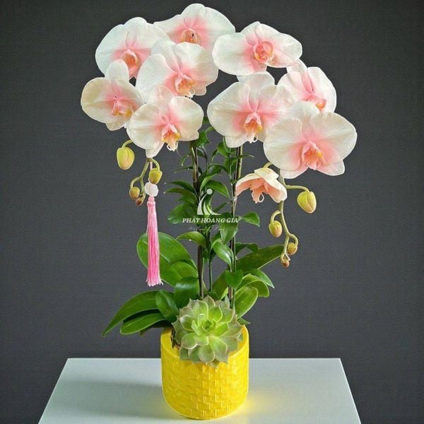 hoa sinh nhật cho nam