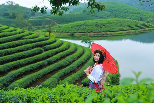 Hình ảnh bài viết