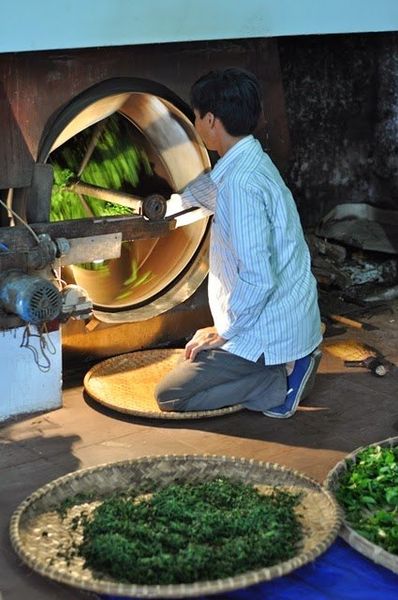 Hình ảnh bài viết