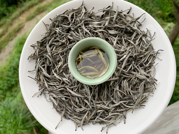Hình ảnh bài viết
