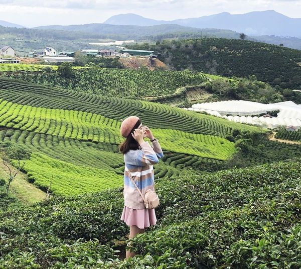 Hình ảnh bài viết