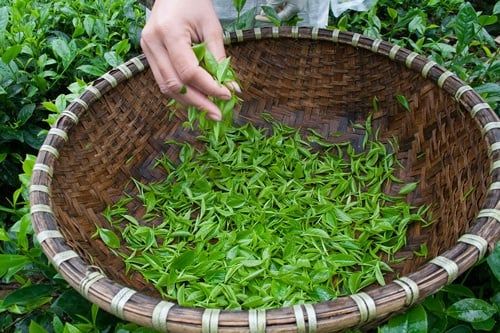 Hình ảnh bài viết