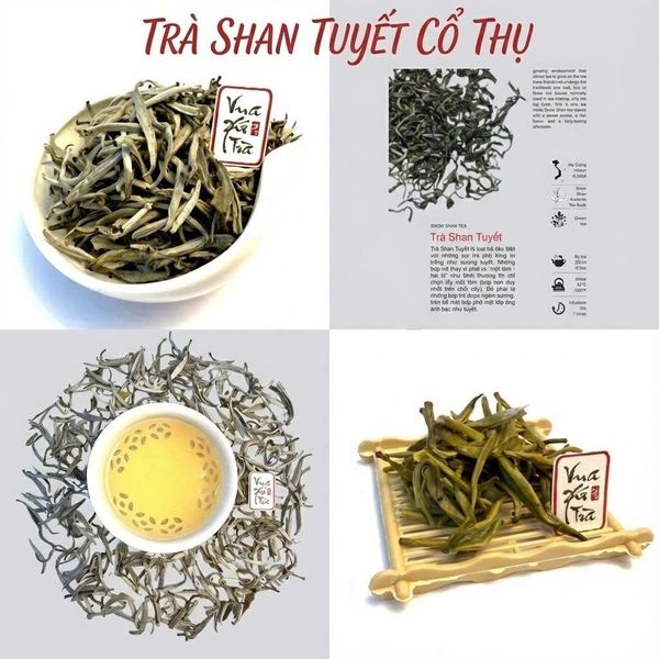 Hình ảnh bài viết