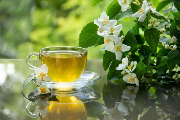 Hình ảnh bài viết